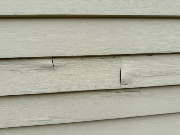 Best Vinyl Siding Installation  in Springtown, TX